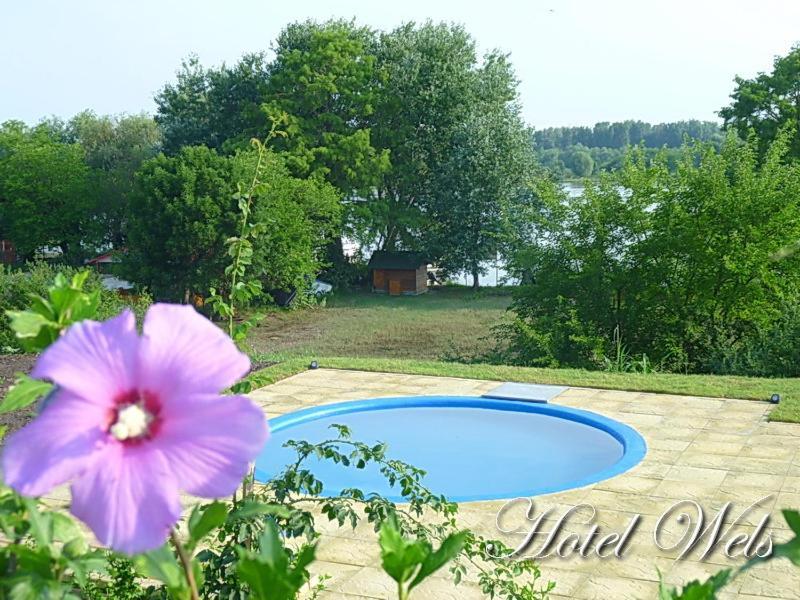 Hotel Wels Baltenii de Sus Екстер'єр фото