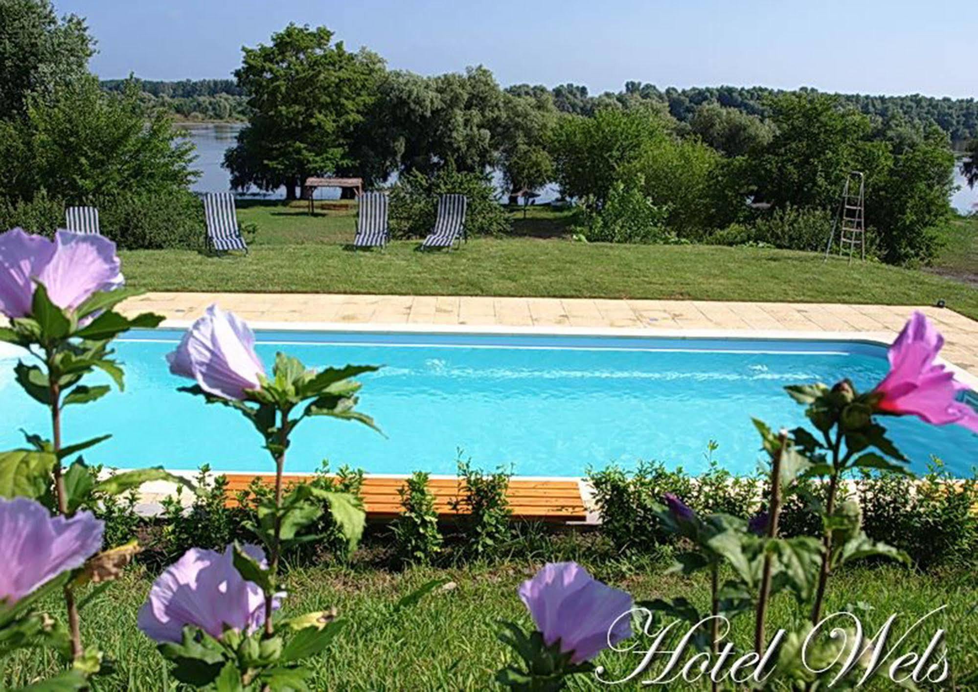 Hotel Wels Baltenii de Sus Екстер'єр фото